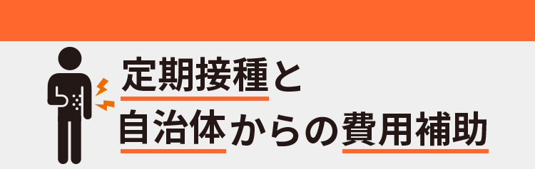 定期接種と自治体からの費用補助
